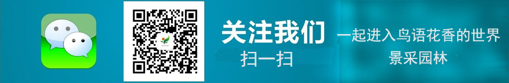 1581649478383491.png