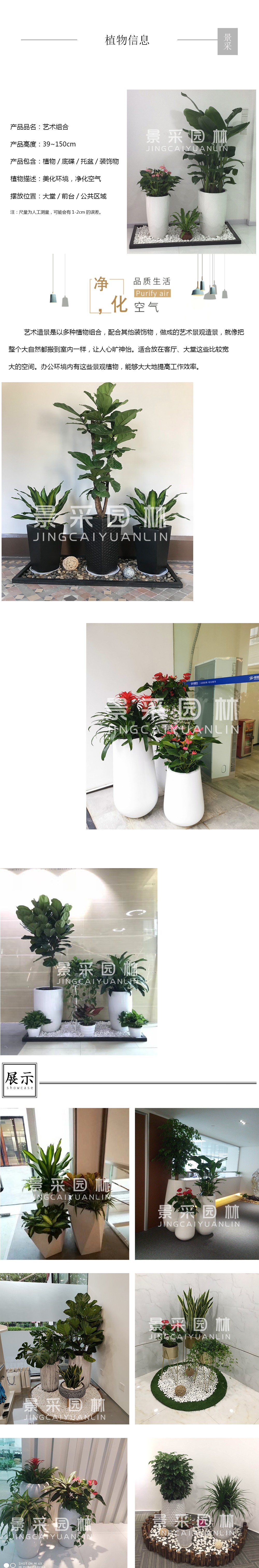 艺术组合.jpg