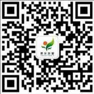 免费设计规划