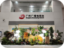 广州广播电视台绿化租摆养护及春节年花装饰服务案例