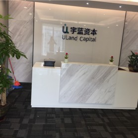 琶洲保利国际广场案例