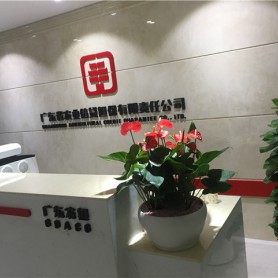 广东财政厅案例
