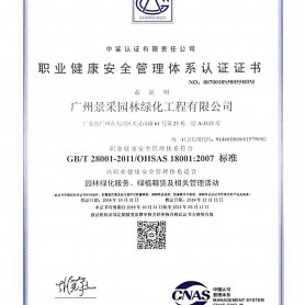职业健康安全管理体系认证证书