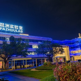 琶洲实验室绿植租摆养护服务案例