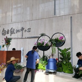 白云绿地中心植物租摆及绿化养护服务案例