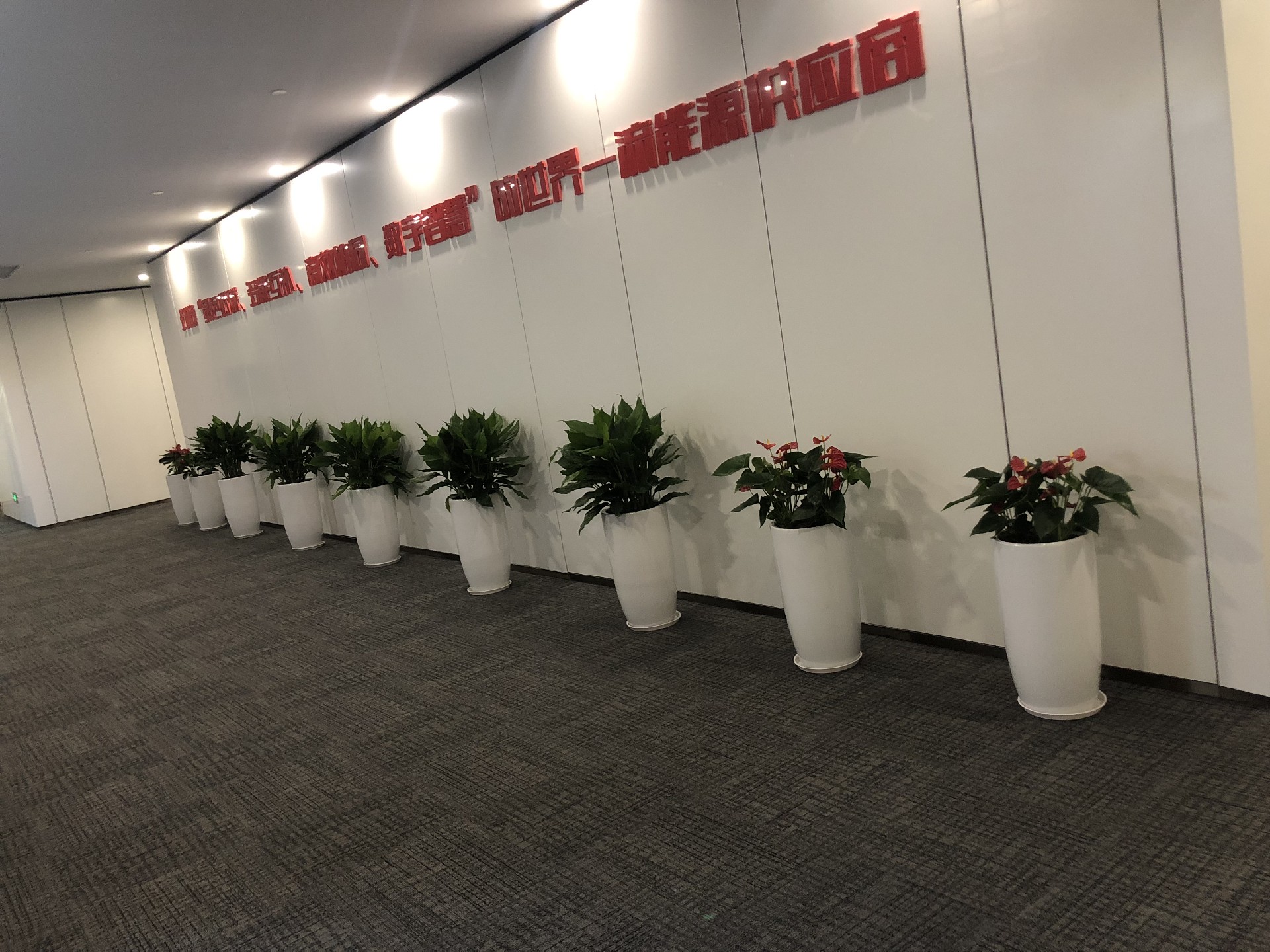 微信图片_20211101184034.jpg
