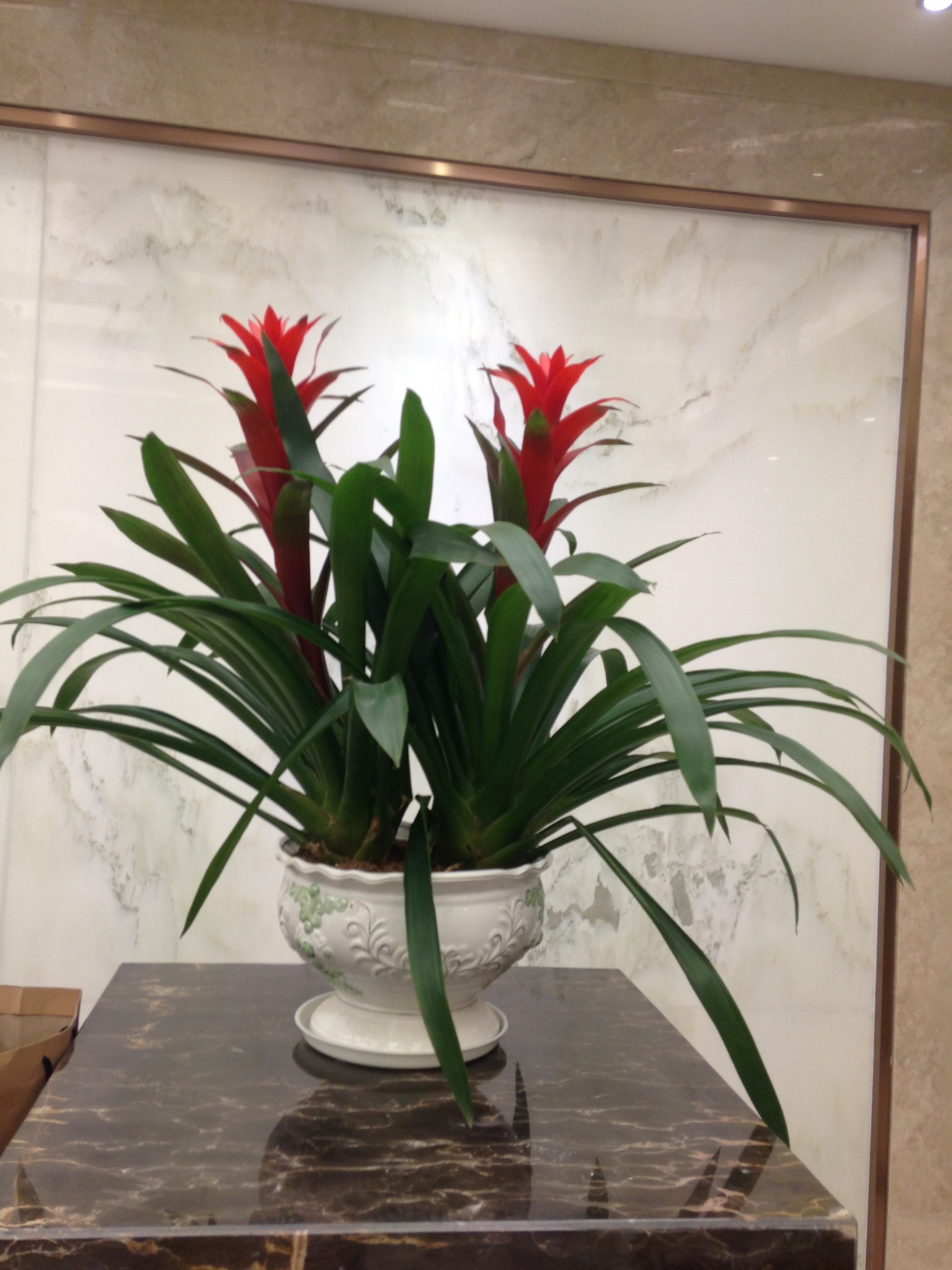 2014-01-26 143459.jpg
