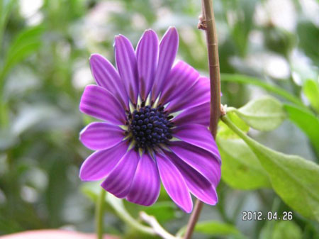 1-160H91311260-L.jpg