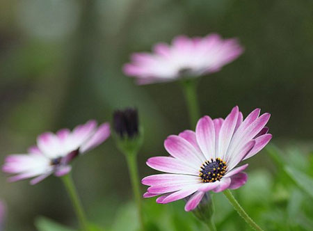 1-160H9131A10-L.jpg