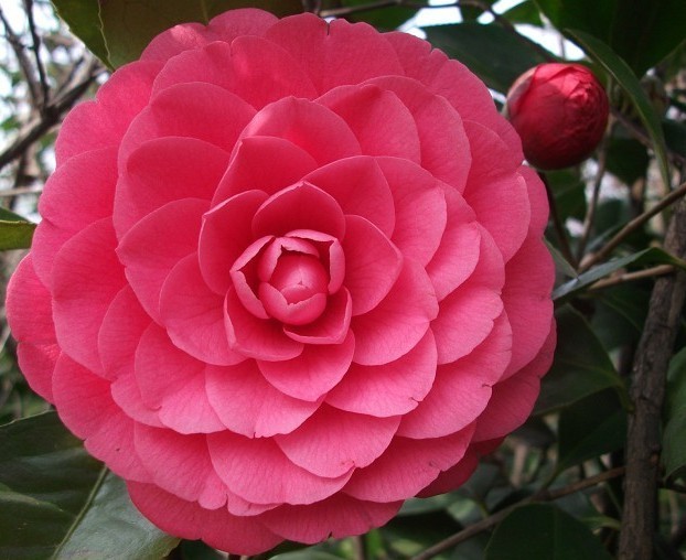 2010030523214764.jpg