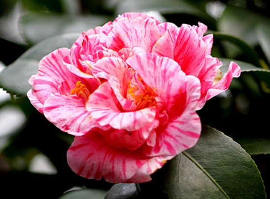 5-1G01F95421.jpg