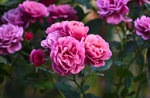 40f7667d-aaaa-461d-aa1c-781fc55c569d.png