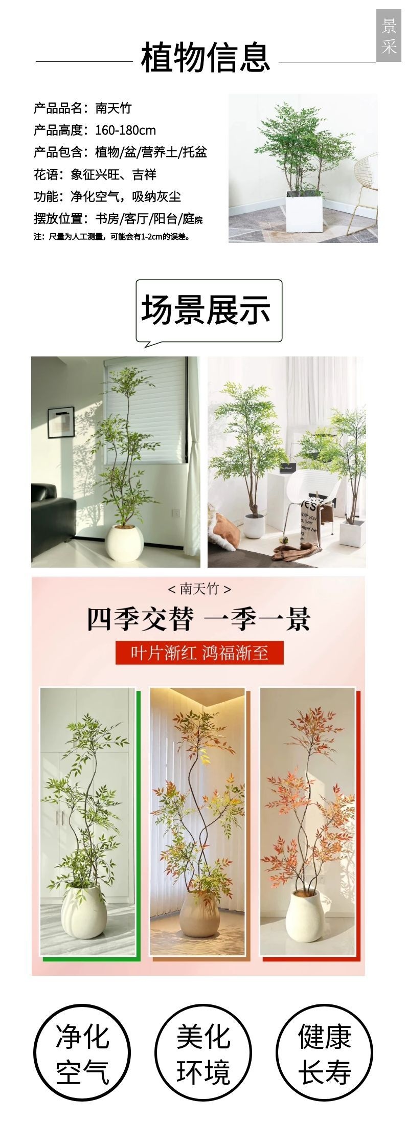 图怪兽_产品详情介绍 (1).jpg