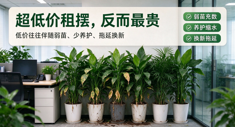 1793157654149252.png 消除水印 (4).png