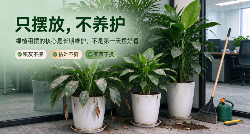 1793157684439951.png 消除水印 (5).png