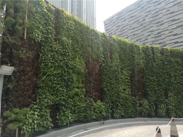 1524294795593504.jpg