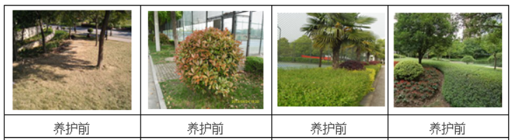 图片8.png