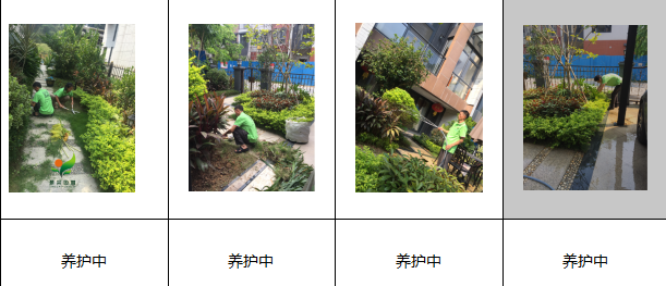 图片9.png