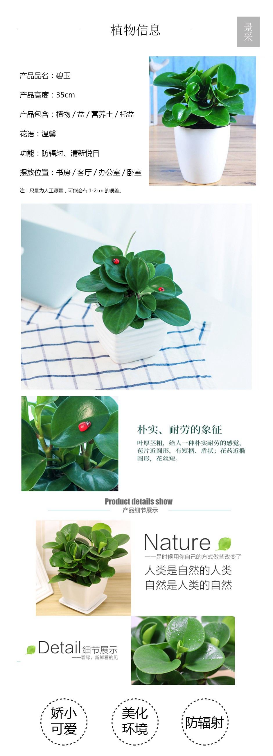 碧玉详情页.jpg