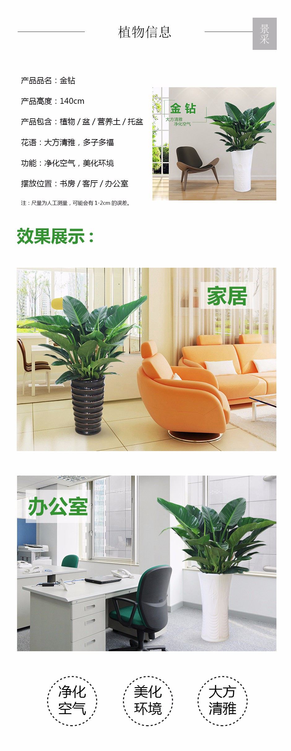 金钻详情页.jpg