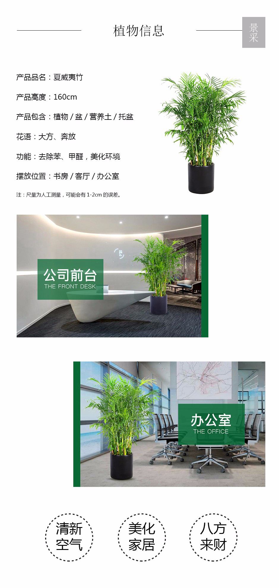 夏威夷竹详情页.jpg
