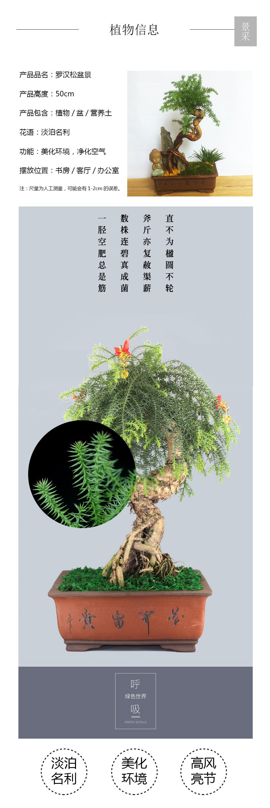 罗汉松详情页.jpg