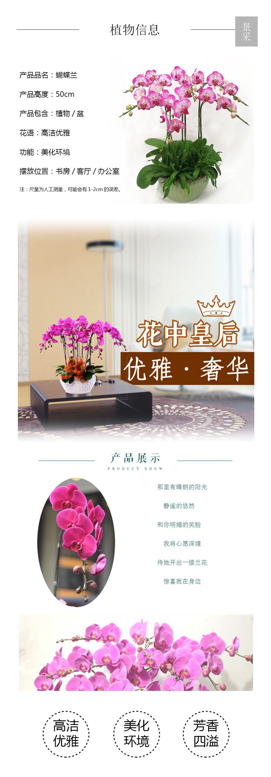 蝴蝶兰详情页.jpg